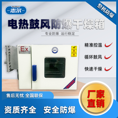 电热鼓风防爆干燥箱42L
